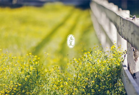 1687183621154680.png image.png