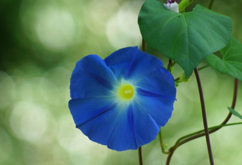 1687262949587439.png image.png