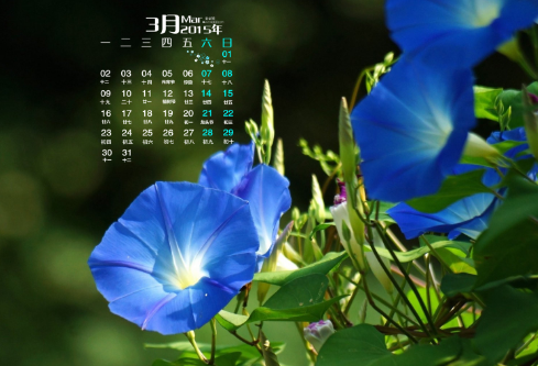 1687268787334516.png image.png