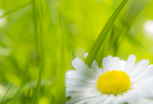 1687281805901089.png image.png