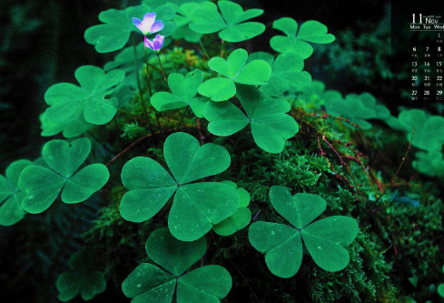 1687282305221066.png image.png