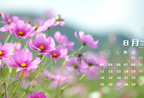 1687282806308330.png image.png