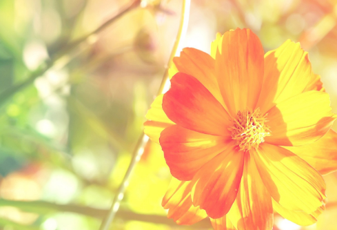 1687283806951970.png image.png