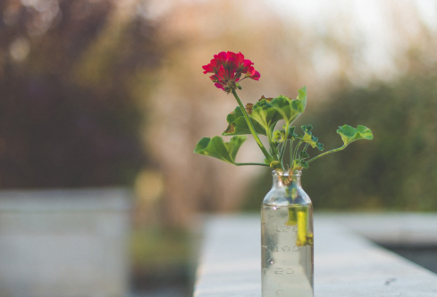 1687283973944048.png image.png