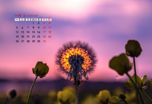 1687287976857376.png image.png