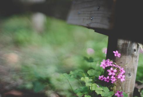 1687288310259931.png image.png