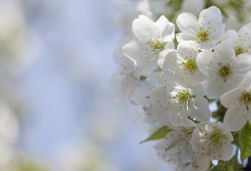 1687290144209150.png image.png