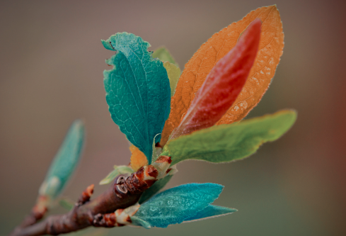 1687297982304323.png image.png