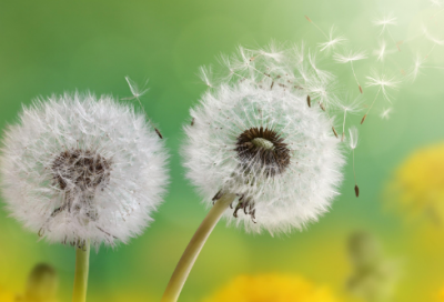 ​儿童谜语大全7一9岁3015个