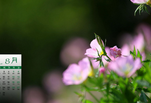 1687311492285365.png image.png