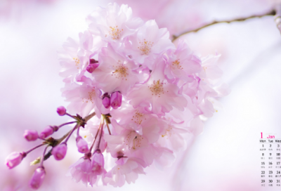 ​一年级谜语大全及答案3022个