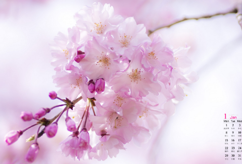 1687311992263287.png image.png