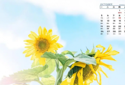 ​谜语大全儿童3到6岁复杂3004个