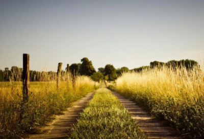 ​谜语大全儿童3到6岁问题3034个