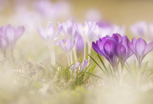 1687313661778435.png image.png