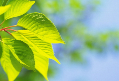 ​儿童谜语大全3019个