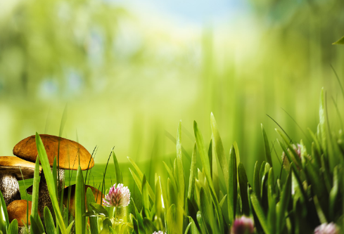 1687314328598922.png image.png