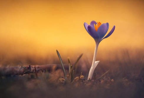 1687314495807780.png image.png