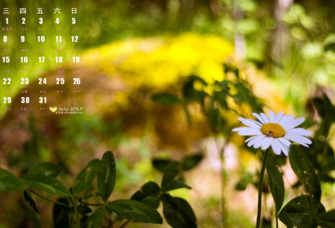 1687315996906829.png image.png