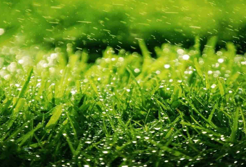 1687316497658555.png image.png