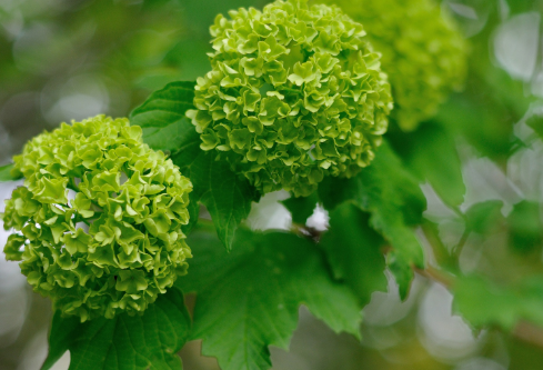 1687316830116866.png image.png