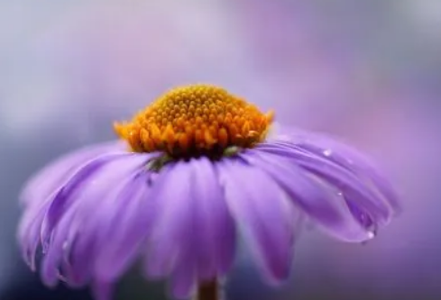 1687326845430456.png image.png