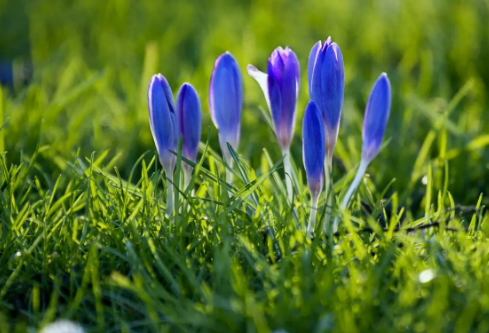 1687327346851546.png image.png