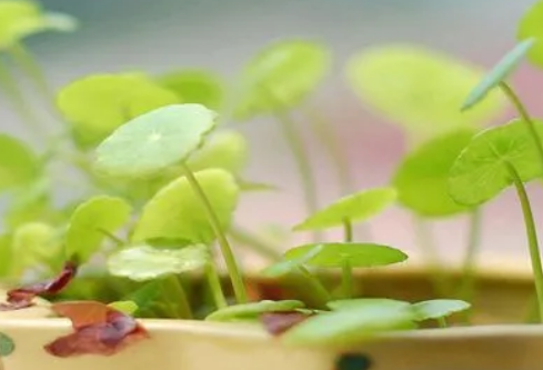 1687327513406567.png image.png