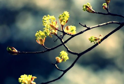 1687329515814419.png image.png