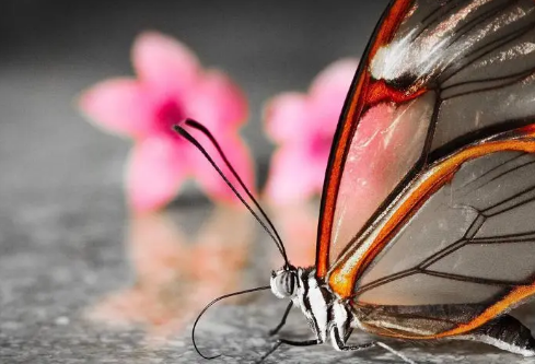 1687338359361267.png image.png