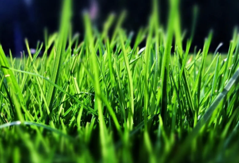 1687338692159628.png image.png