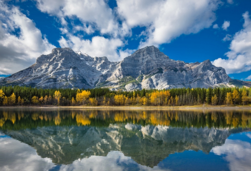 1687606130284394.png image.png