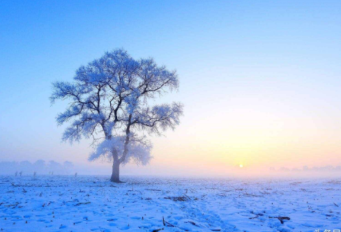 1687606794372555.png image.png