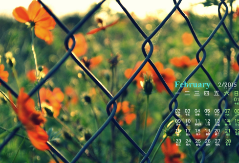 1687607790853496.png image.png