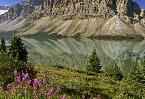 1687728885614048.png image.png