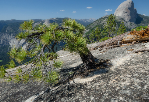 1687730884731534.png image.png