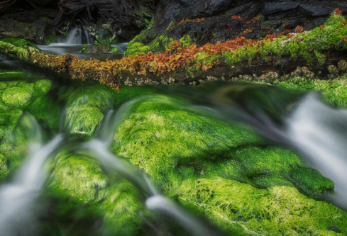 1687731383879163.png image.png