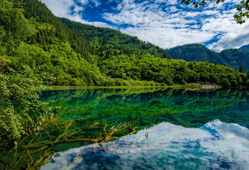 1687734715227877.png image.png