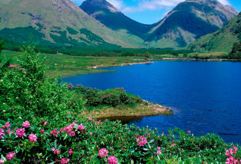 1687734882715069.png image.png