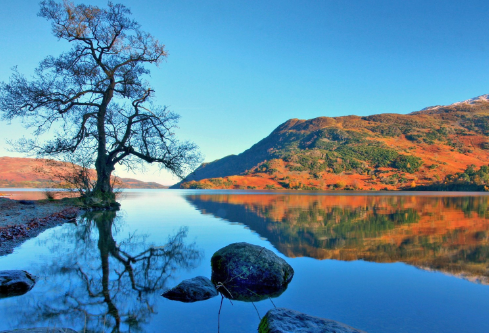 1687735714729675.png image.png