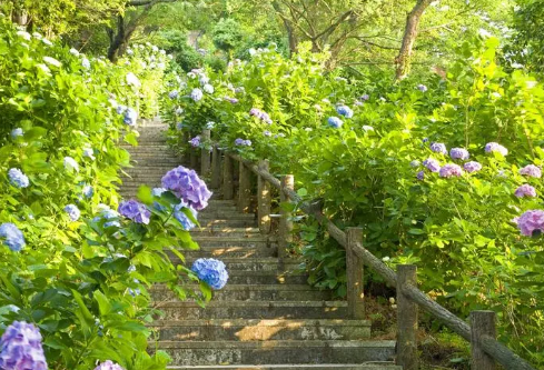 1687738047103134.png image.png