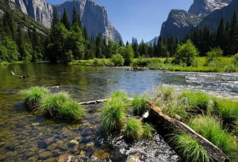 1687738713890203.png image.png