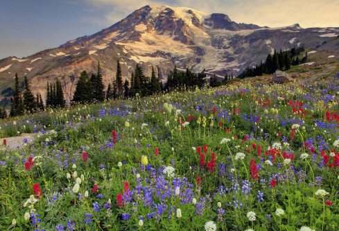 1687738880460630.png image.png