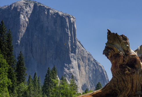 1687744046215651.png image.png