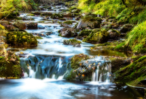 1687746380667870.png image.png