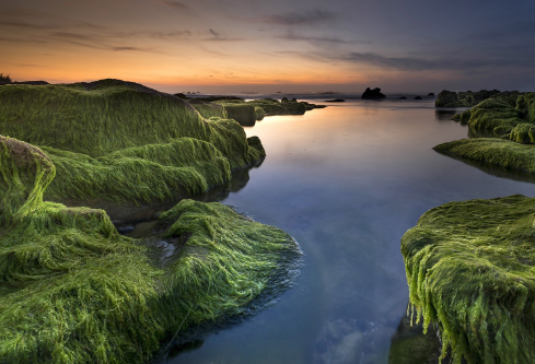 1687761709191448.png image.png