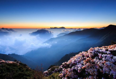 1687762709958672.png image.png