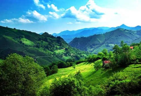 1687764209532381.png image.png