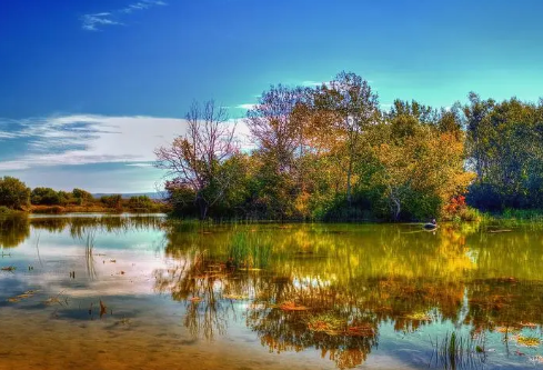 1687764709658611.png image.png