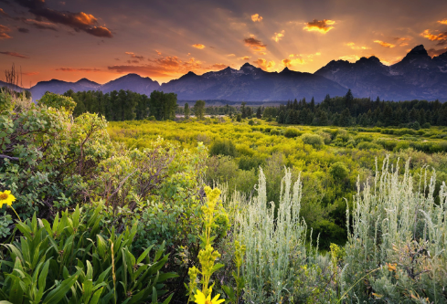 1687766708701507.png image.png